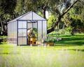 Växthus Glory Premium 9,2 m² Mörkgrå Canopia by Palram
